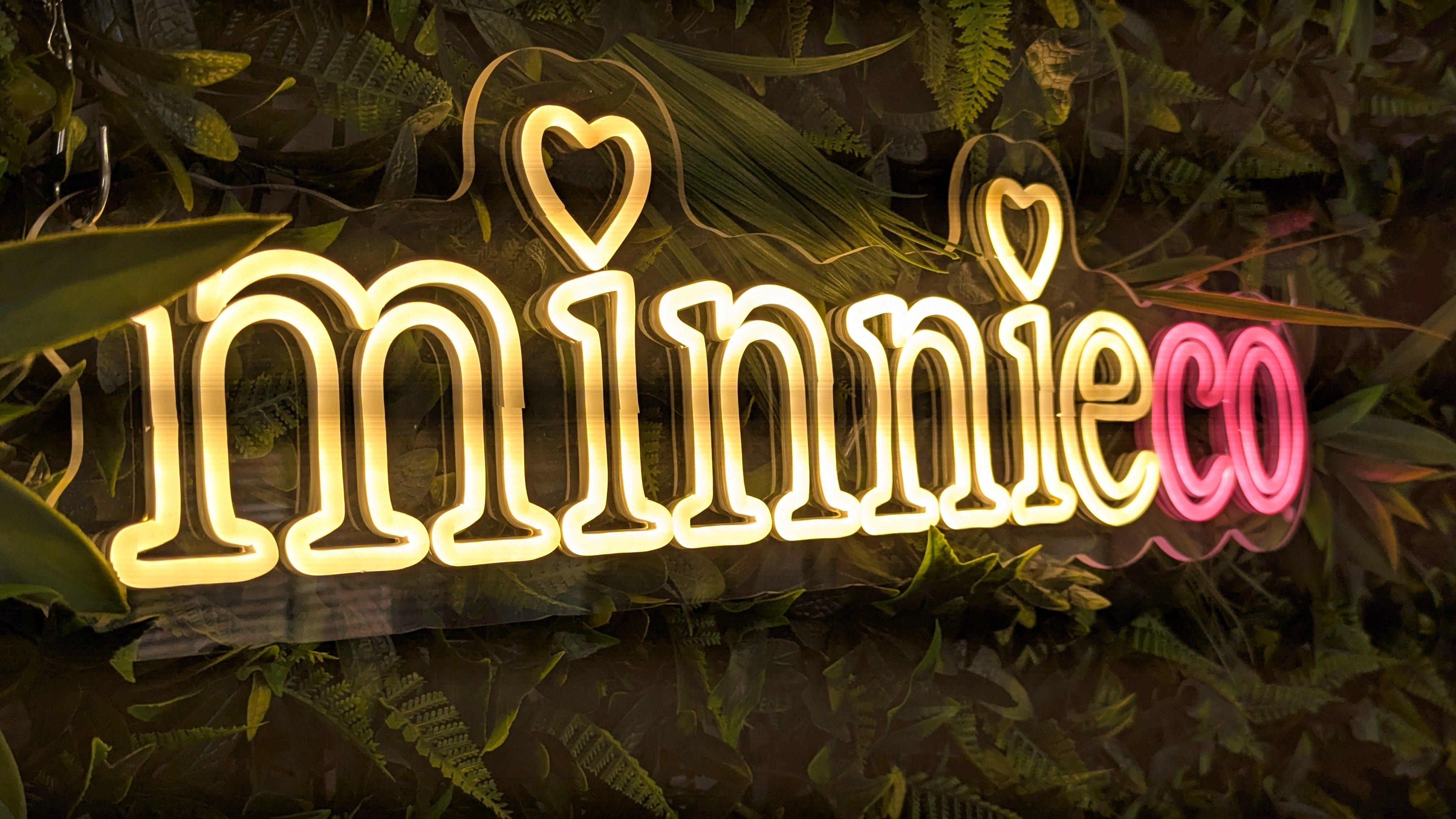 Behind the Scenes at Minnieco — Where Passion Meets Professionalism