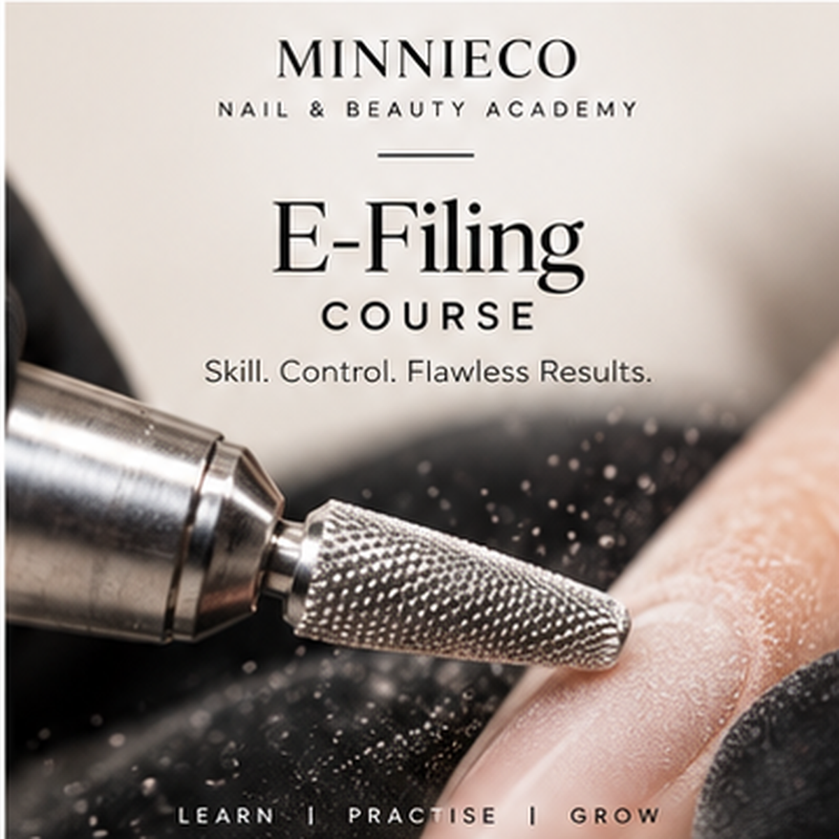 Minnieco E-Filing Course